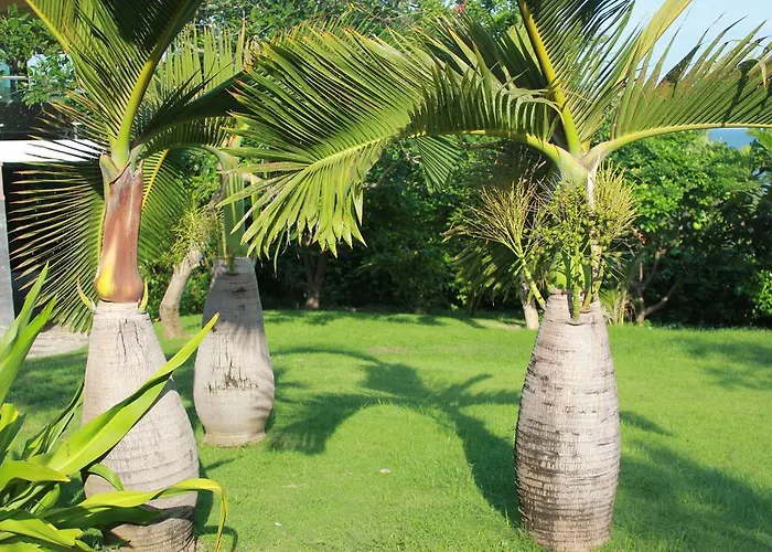 Takalau & 4* Phan Thiết