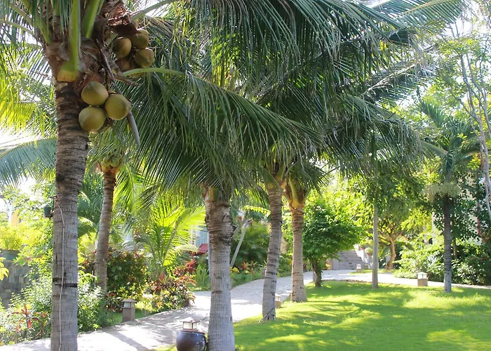 Takalau & 4* Phan Thiết